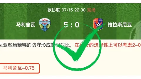 体育官网入口 095202 0
